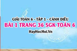 Giải bài 1 trang 36 Toán 6 Tập 1 SGK Cánh Diều